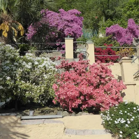 Bild Lago Maggiore Apartamento