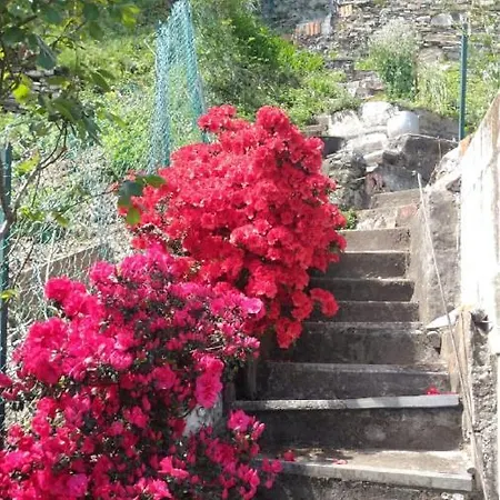 Bild Lago Maggiore Cannobio